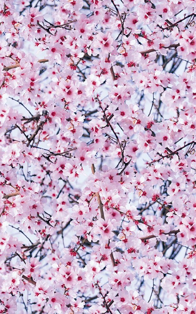 AlkorSticky Back Plastic (self adhesive vinyl film) Bloemfontain 45cm x 2m 380-0062