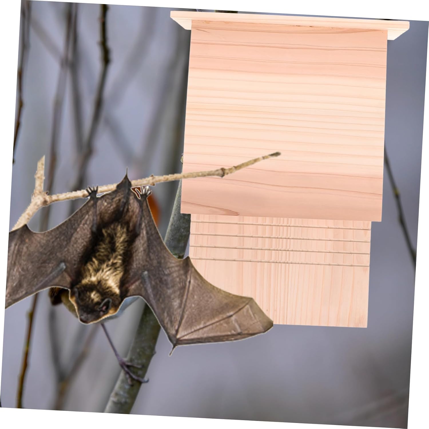 Outdoor Bat House Durable Bat Shelter for Backyard Courtyard Design Easy to Use Weather Resistant for Bats to Roost Nest