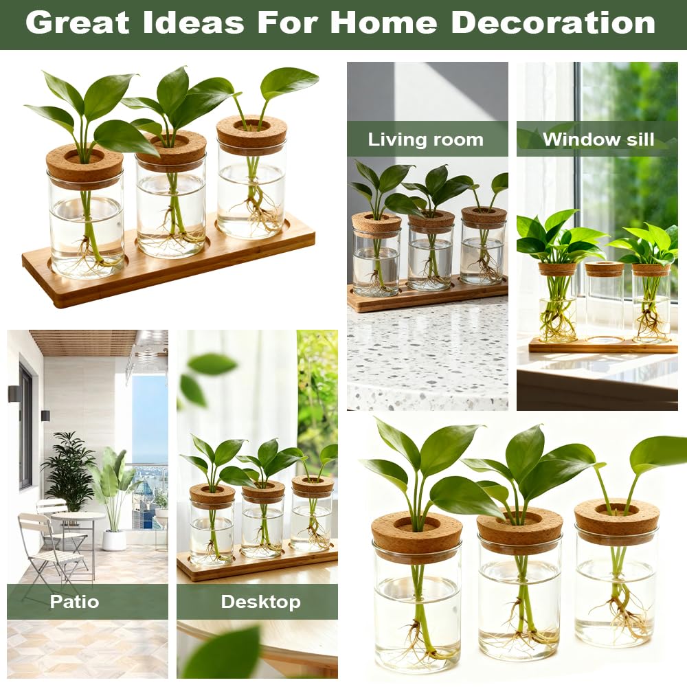 Estación de Propagación de Plantas Jarrón Hidropónico Cristal Jarrón Cultivo Hidropónico Bandeja Vidrio para Cultivo Hidropónicas 3 Jarronita300ml Cristal Decorativas para Esquejes de Plantas