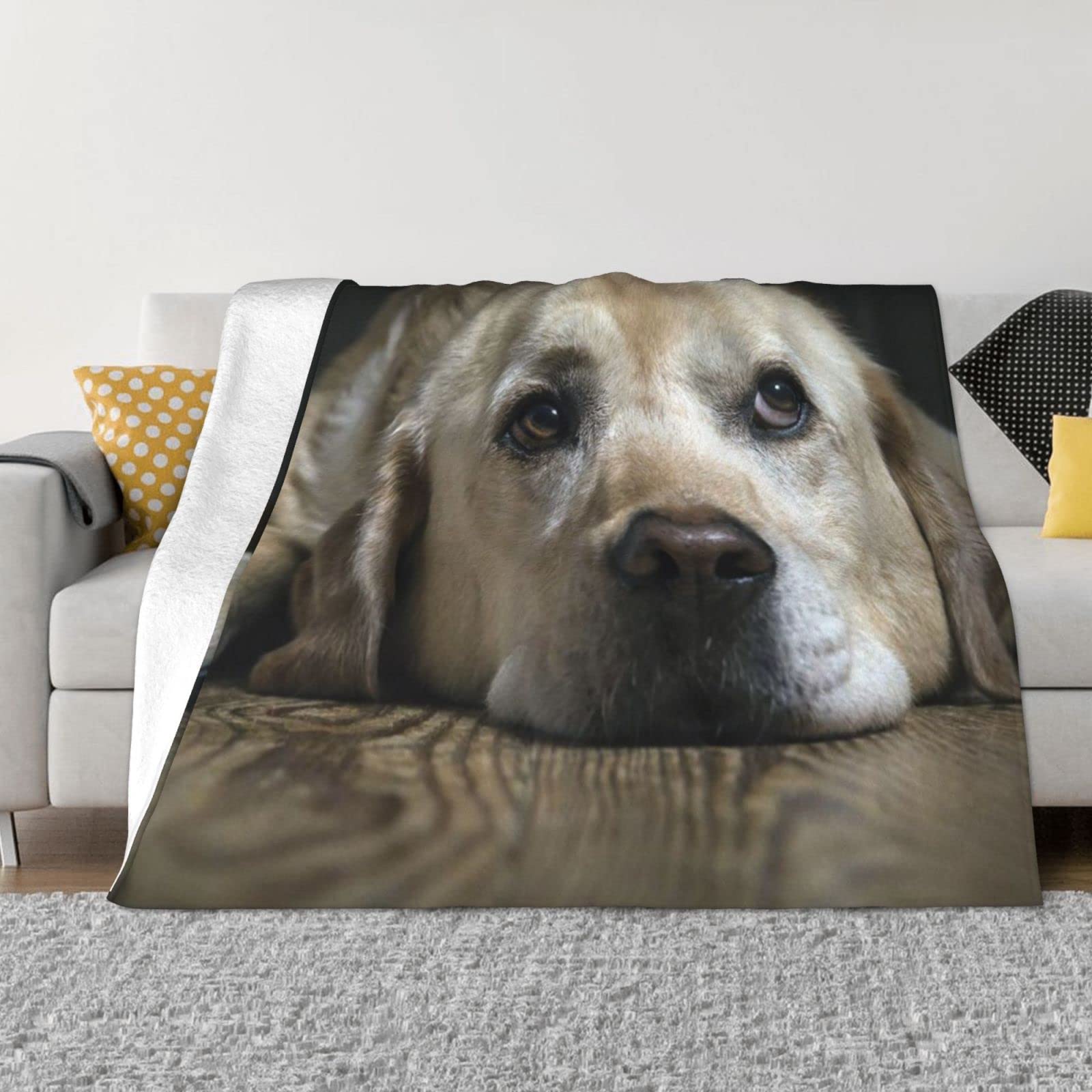 Couverture labrador en flanelle de qualité supérieure jeté de canapé chaud et doux 127x101 cm