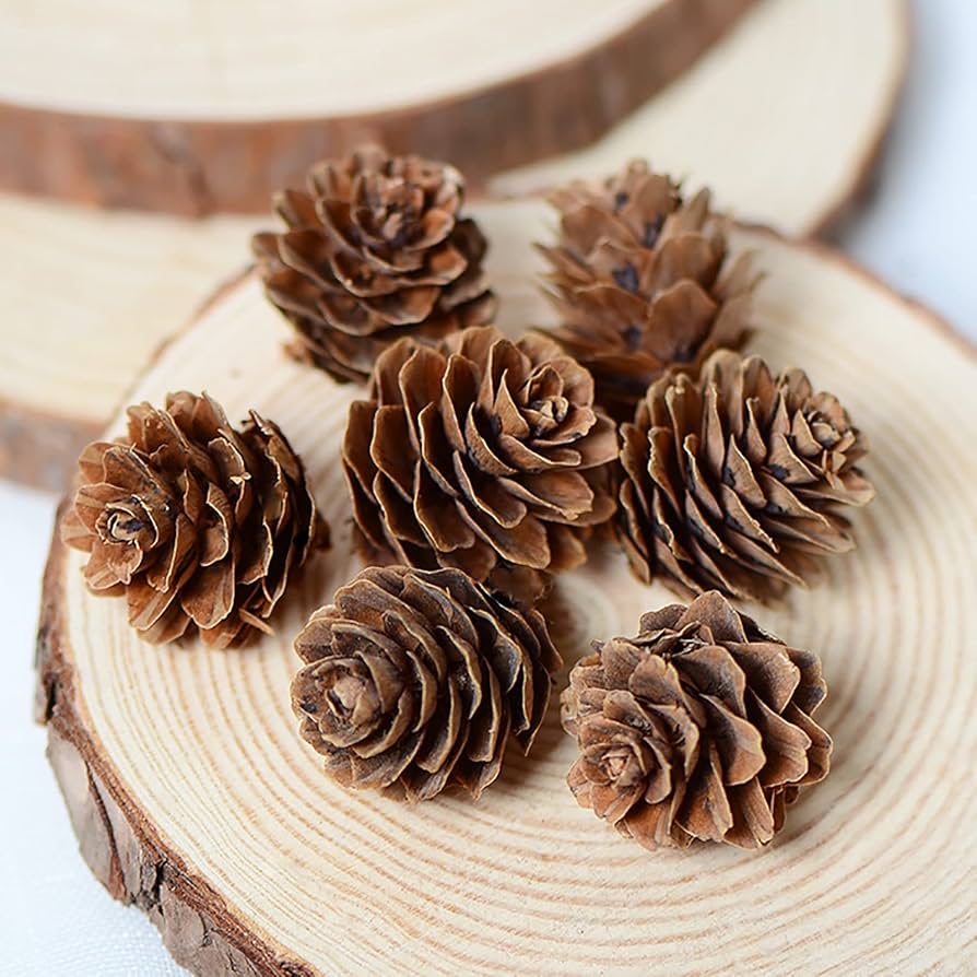 松ぼっくり まとめ売り 60個 小さいサイズの松ぼっくり60個以上セット（2cm前後多め）/ ホビー 工作