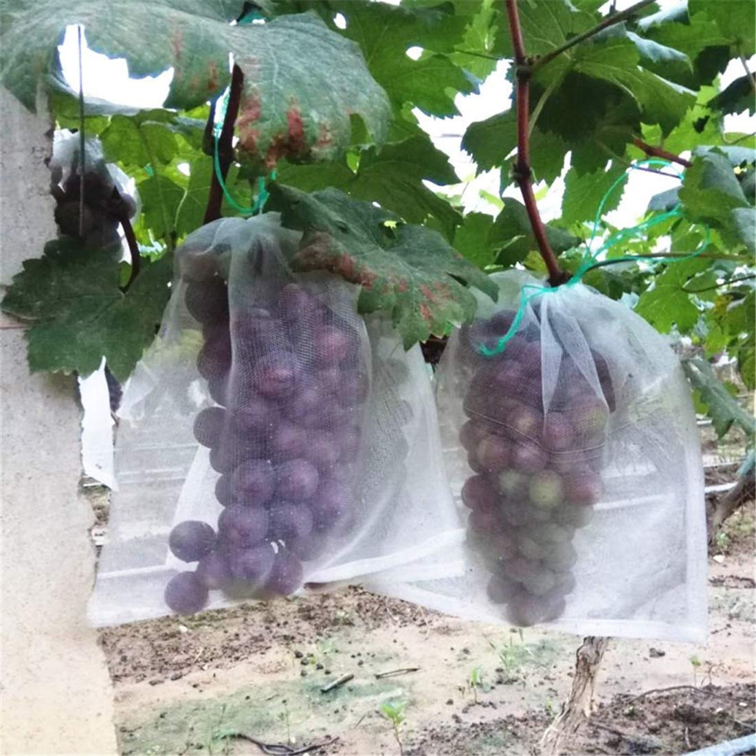 Zzooi 30PCS Grape Bug Net Bag Grape Protection Mesh Cover Bags Against Insects Birds