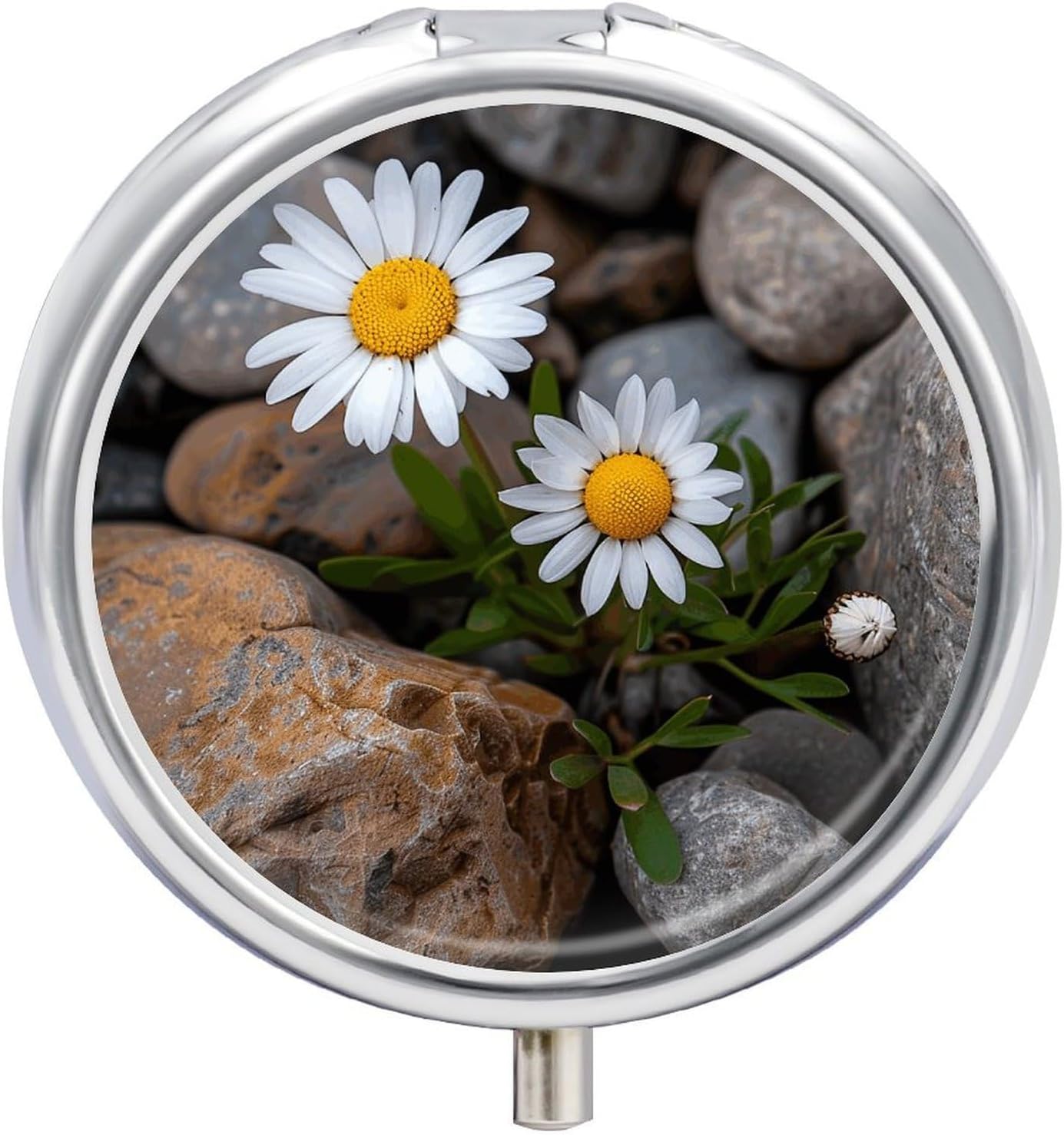 Daisies and Rocks Round Pill Box, Waterproof Medicine Organizer Box
