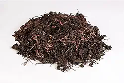 Kit Compostagem, Composteira Horta Orgânica - Minhocas Californianas, Casca de Arroz e Húmus de Minhocas