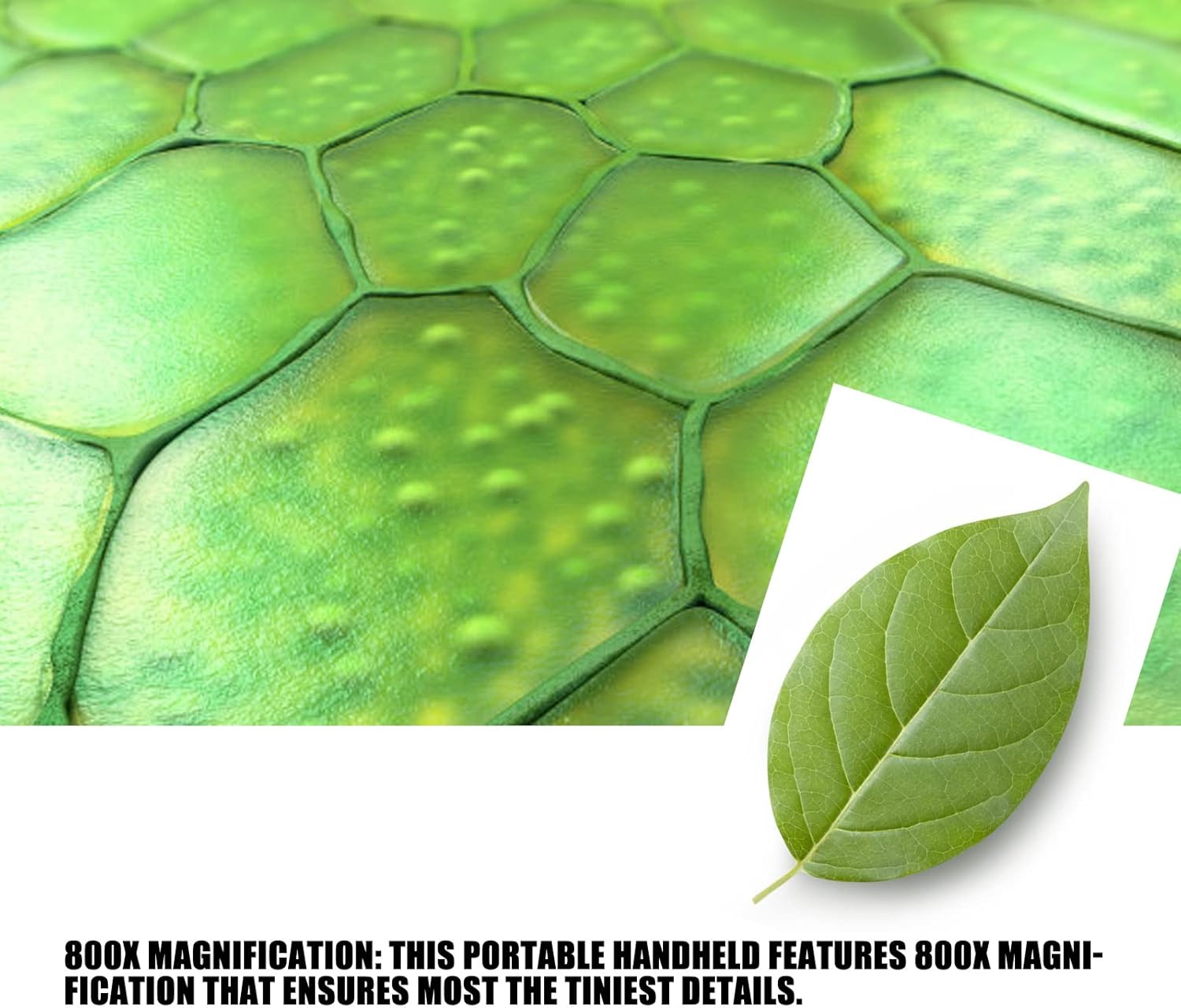 Handheld Digital Microscope with 2" Screen, 800X Portable Microscope Camera for Kids and Adults, 2000mAh Battery, Mini Pocket USB Microscope for Plant Stone