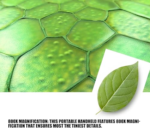 Miniatura 3 de Microscopio digital de mano con pantalla de 2 pulgadas, cámara de microscopio portátil 800X para niños y adultos, batería de 2000 mAh, mini