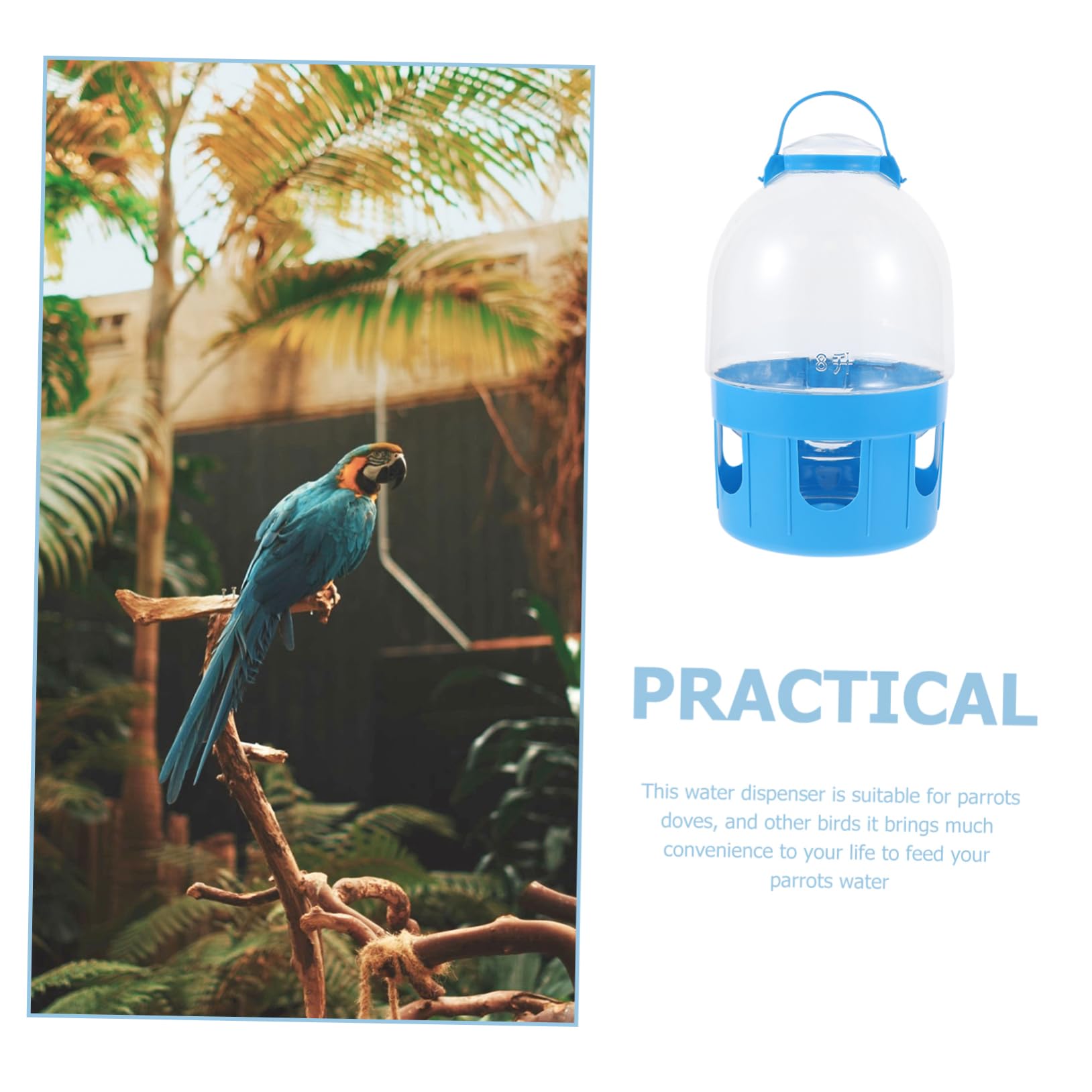 Abaodam Tauben Wasserspender mit Großer Kapazität aus PVC Runde Form Einfache Handhabung und Reinigung für Vogel Wasserversorgung zu Hause Zufällige Farbe