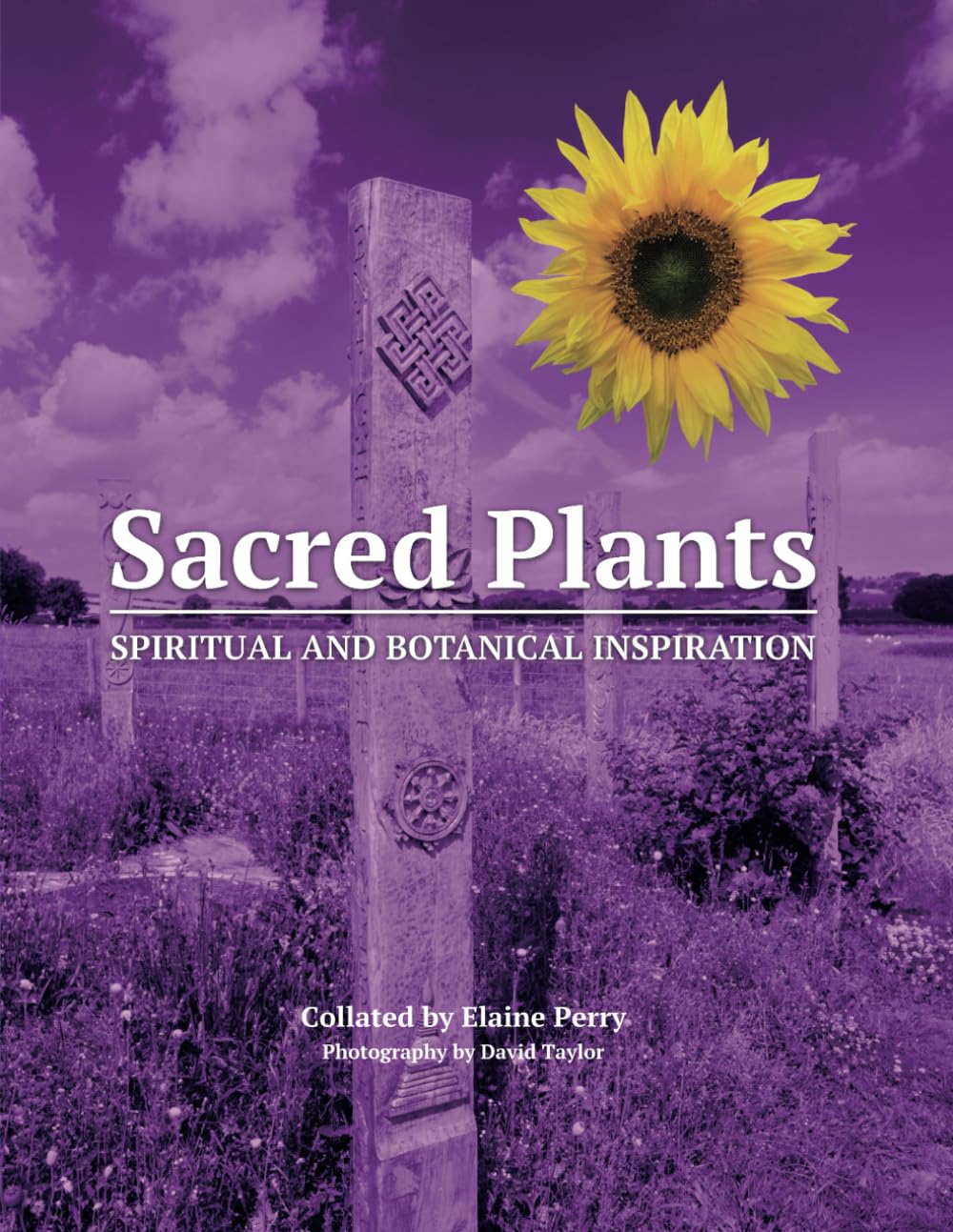 Sacred Plants: Spiritual and Botanical Inspiration
