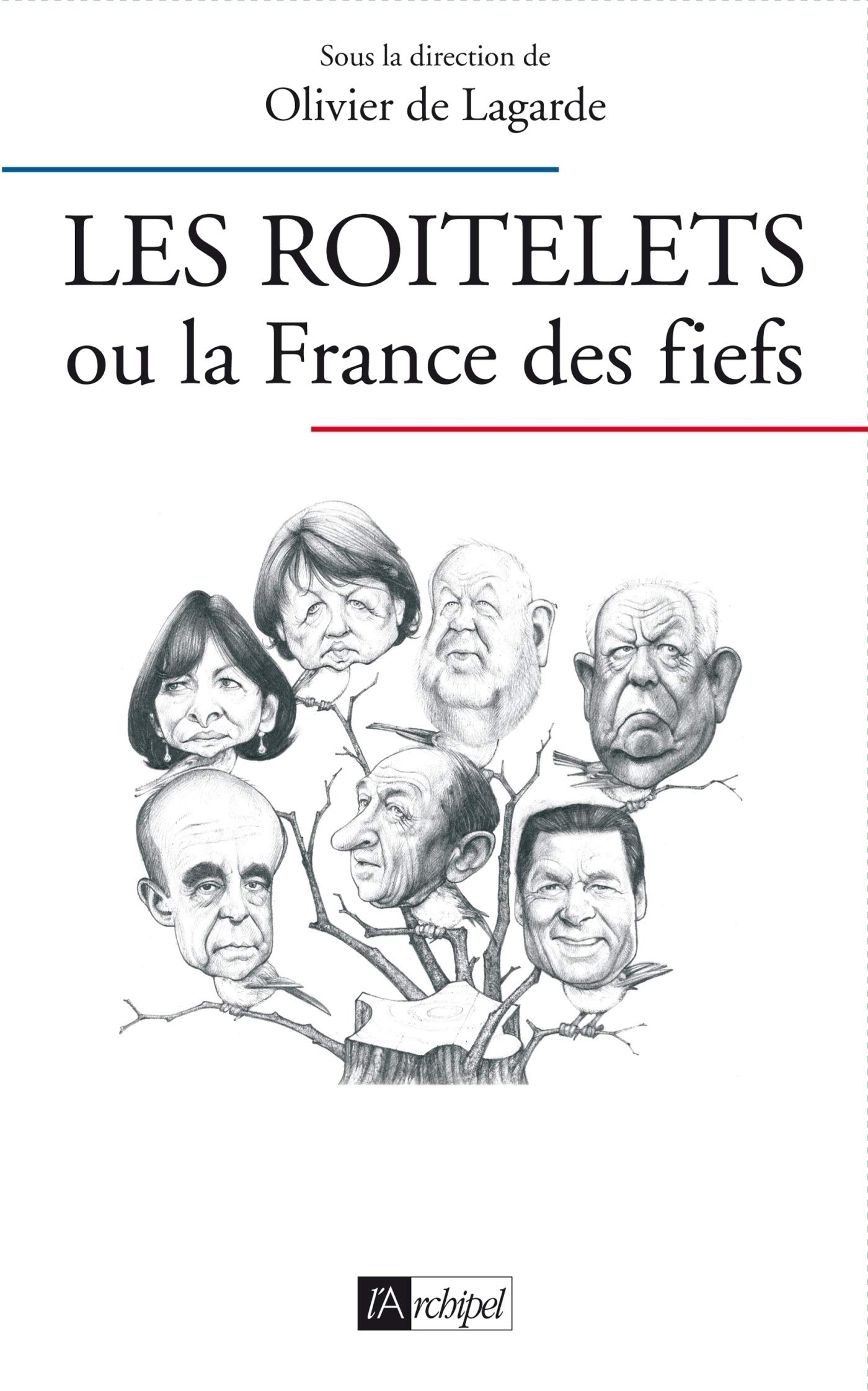 Les roitelets ou la France des fiefs (French Edition)