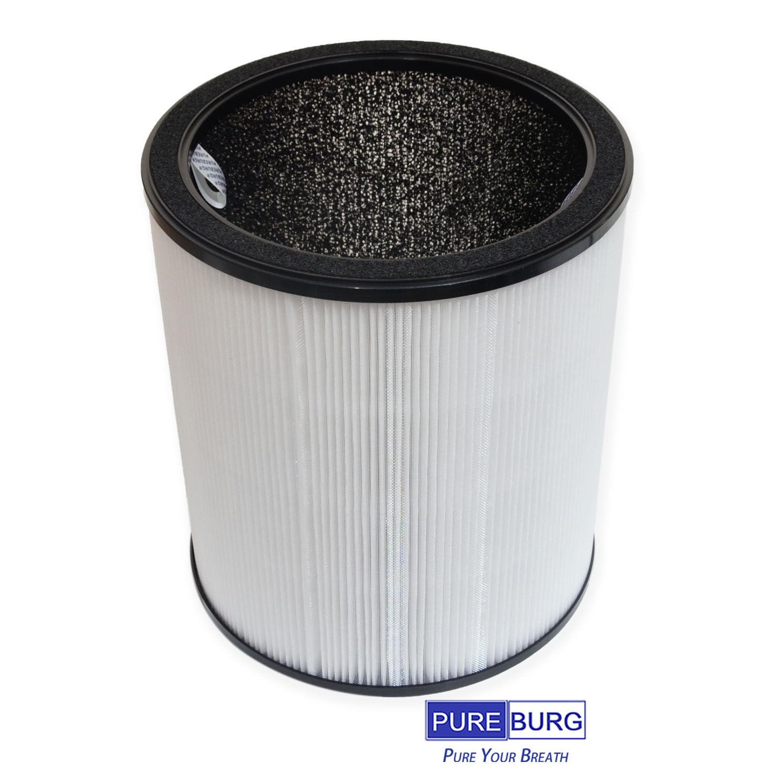PUREBURG Filtri di ricambio compatibili con purificatore d'aria Coway Airmega AIM e ventola 2 in 1, filtrazione multistrato H13 True HEPA e carbone attivo, confezione da 2
