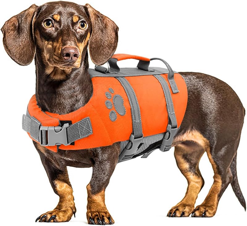 Colete salva-vidas para cães Queenmore com flutuação e alças ajustáveis – Tamanho Médio