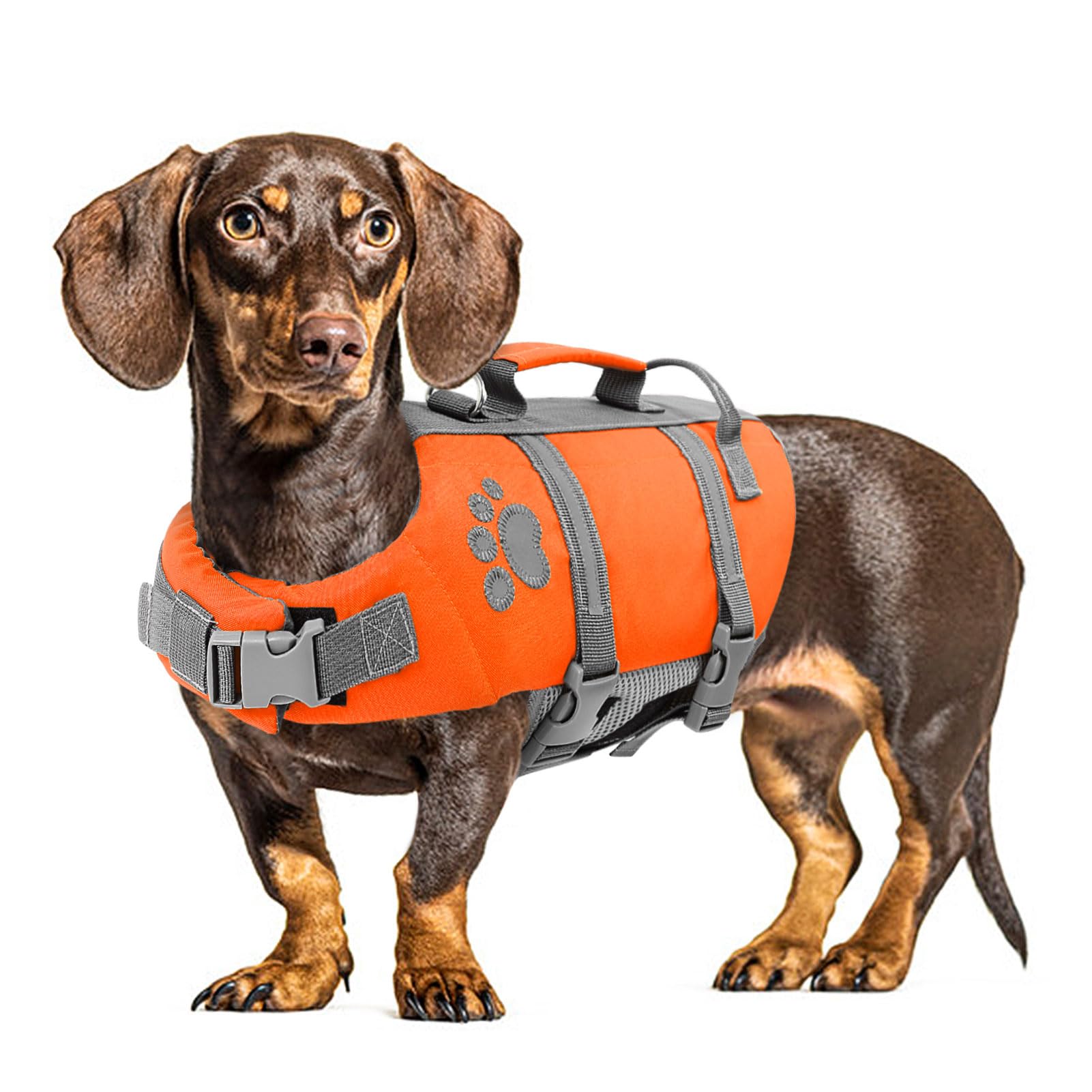 Queenmore Large Dog Life Jacket