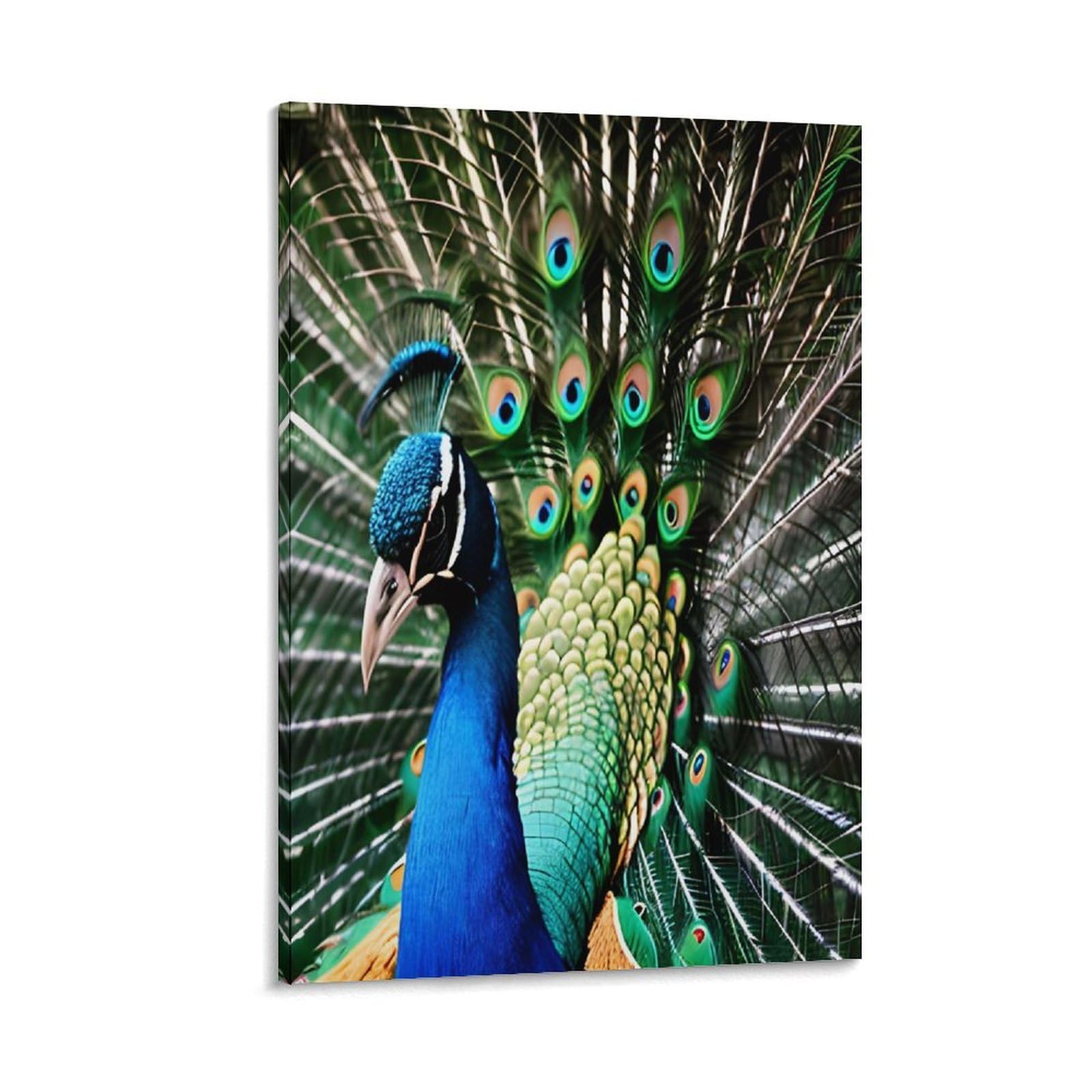 VstaDank Peacock Canvas Wall Art on Canvas Prints Artwork Exquisite Decor Artwork Hang Wall Picture Hangable Decor Painting Picture Printed Poster Art for Home Decor 16x24inch(40x60cm)