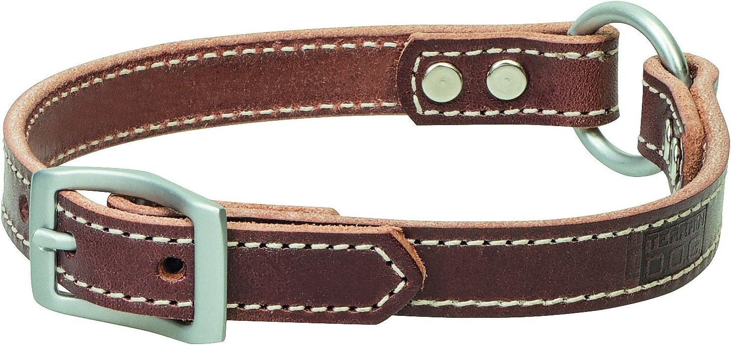 Terrain D.O.G. Bridle Leather Ring-In-Center Dog Collar