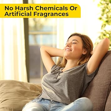 Aromasong 100% Natural Carpet Deodorizer Powder Citrus 2 Pack, (13 oz Each) Pet-Safe Carpet Freshener Powder Eliminator of Strong Odors & Pet Urine Improved Formula