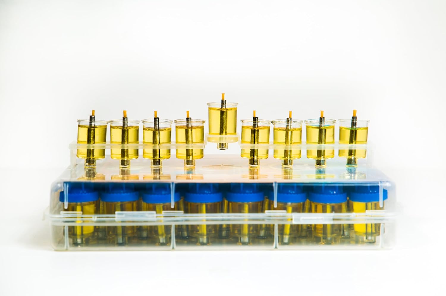 Vehaer 44 Prefilled Cups, 2.5 Hour Burn, Hanukkah, Chanukah Olive Oil, Ready to Use, Fits Most Menorah (Liquid Oil Medium)