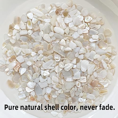 Miniatura 2 de Tilingview Conchas naturales trituradas para manualidades, chips de madreperla blanca irregulares de 2 libras para bricolaje, decoración del hogar