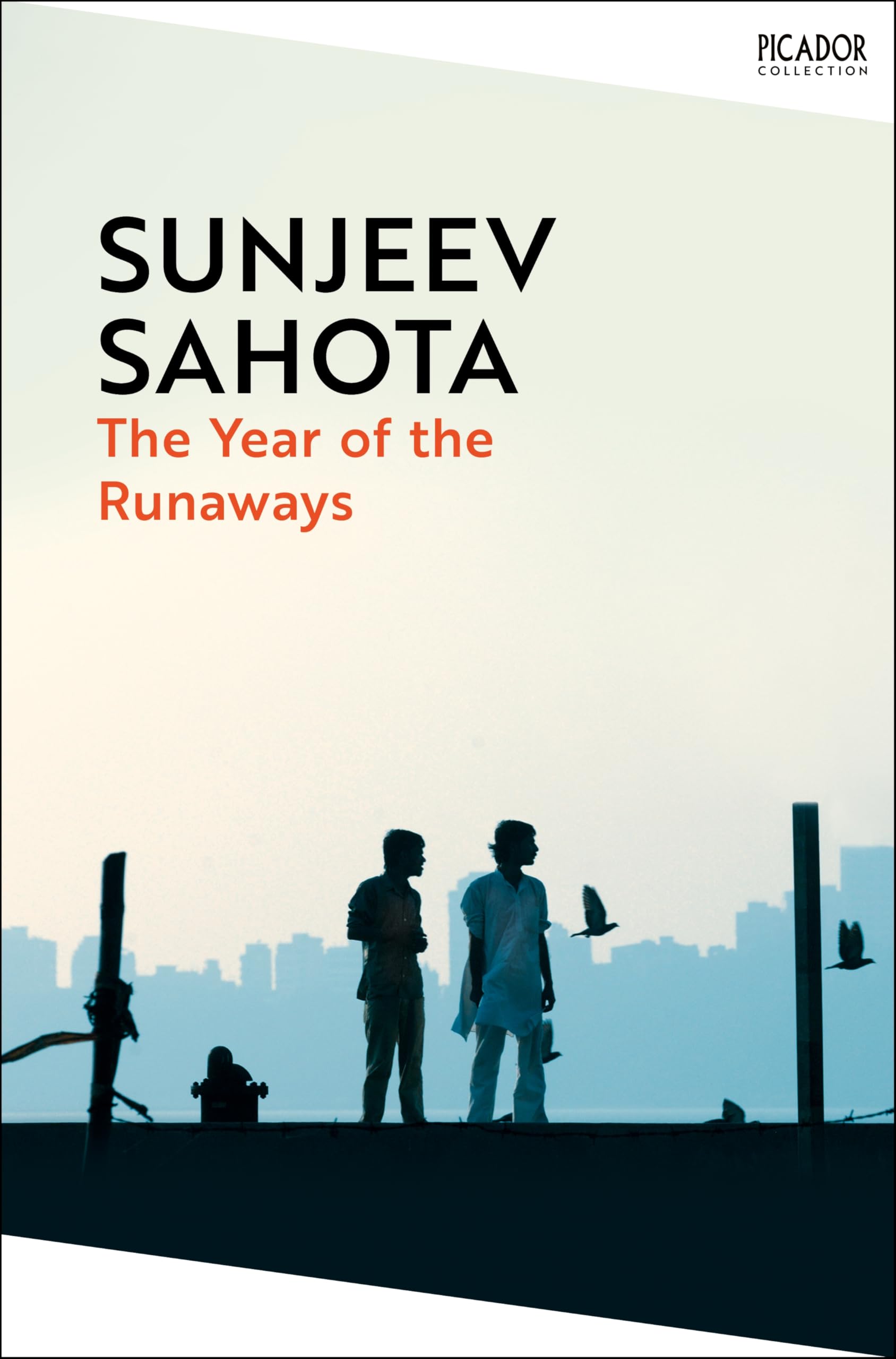 The Year of the Runaways: Shortlisted for the Man Booker Prize (Picador Collection)