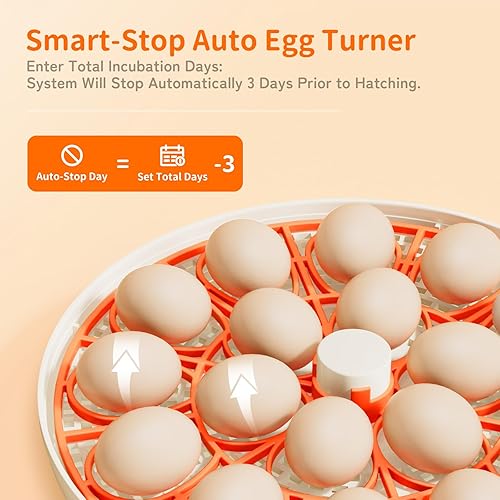 Miniatura 12 de Incubadora de huevos con control de temperatura y humedad, girador automático de huevos, vela de huevos, repuesto de botella de agua externa