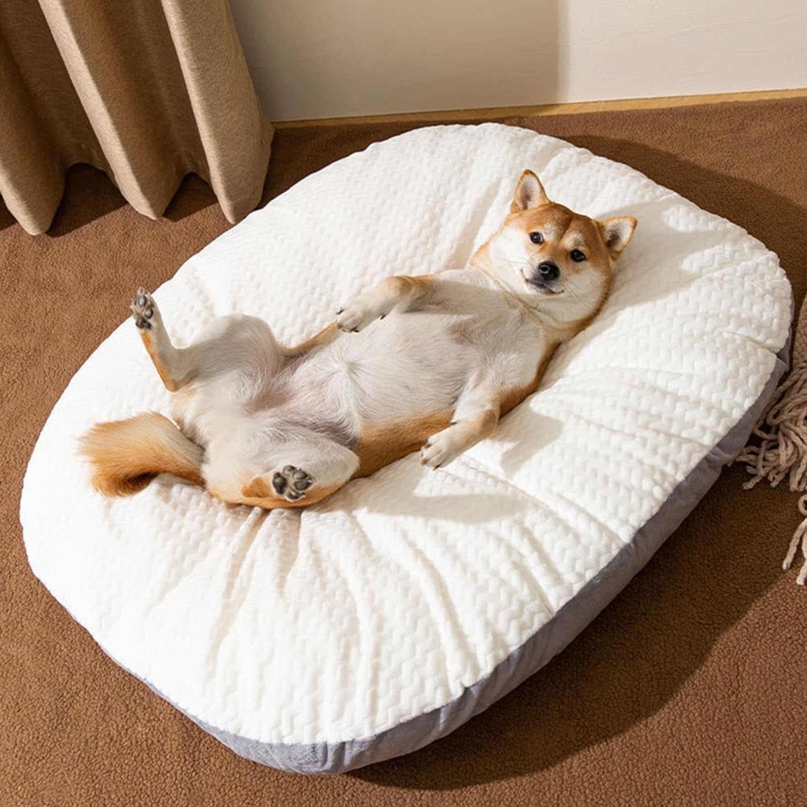 Cuccia Ortopedica in Schiuma Per Cani Da Utilizzare Nella Gabbia, Cuccia Ovale in Memory Foam Per Cani, Letti Per Cani Con Fodere Lavabili, Cuscino Per Gabbia Con Fodera Con Cerniera,Bianca,M