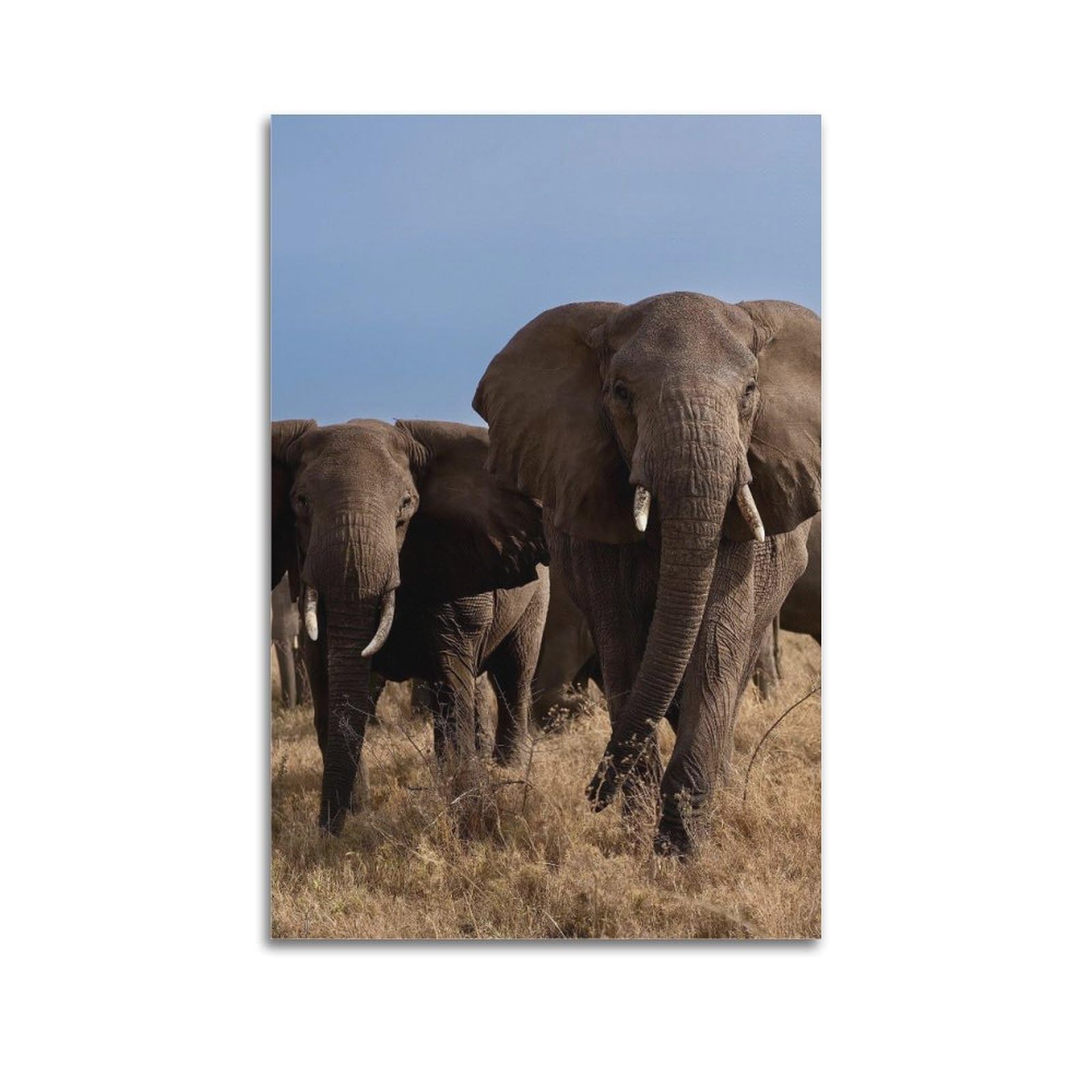 Xkuga Boys Unframe-Style African Elephant Poster Migration Journey Grassland Modern Decorative Canvas Prints - Ideal Wall Art For Family, Man Cave, Game Room, & Girls Bedroom 20X30inch(50X75cm)