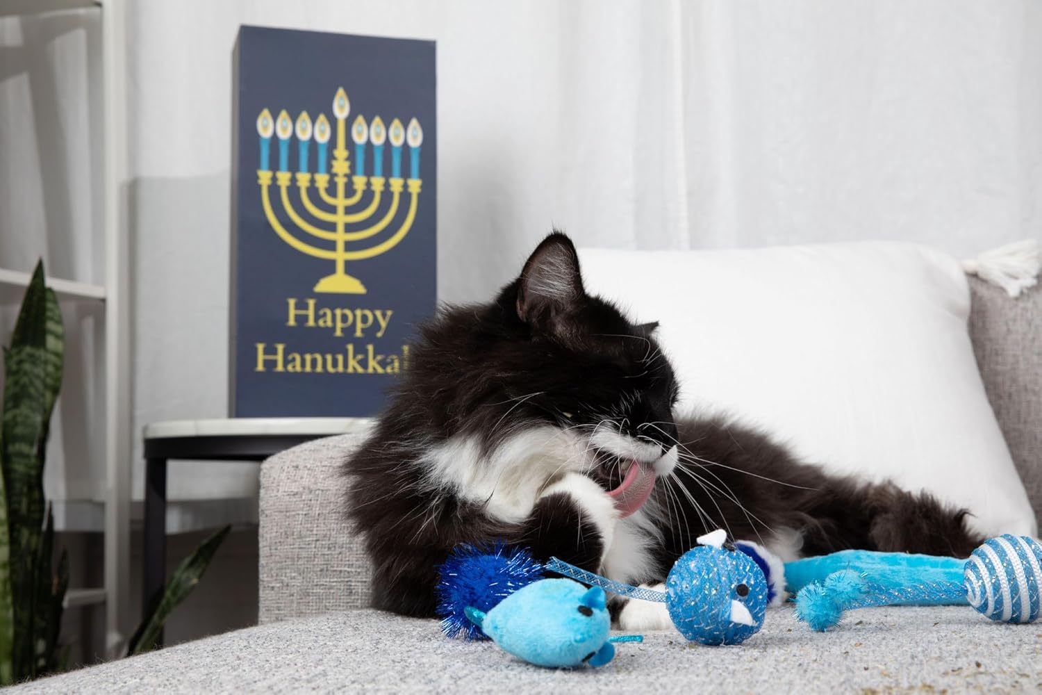 Midlee Channukkah Countdown Cat Calendar