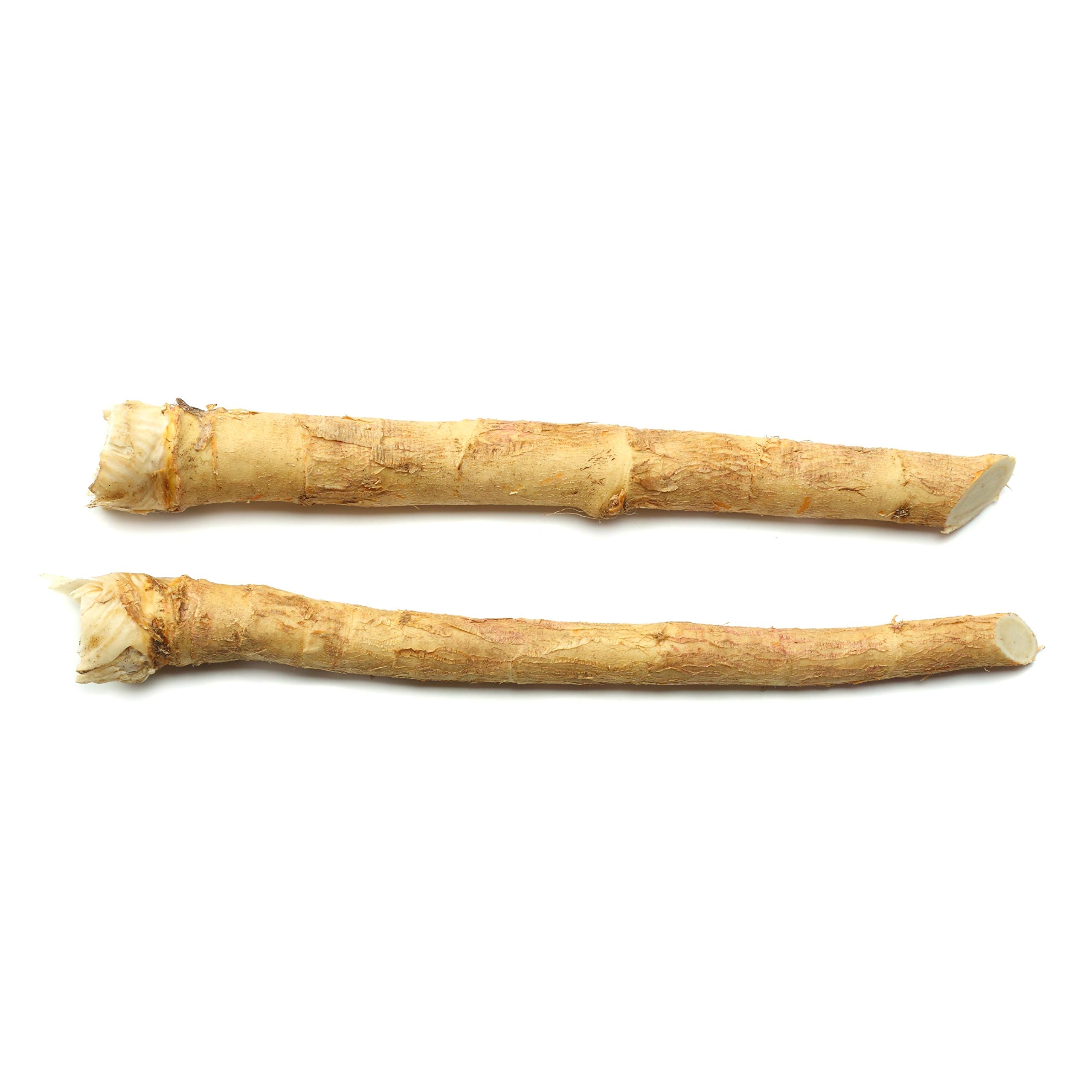 Buy Horseradish Sets Medicinal & Culinary Edible s 2 Live Bare Root