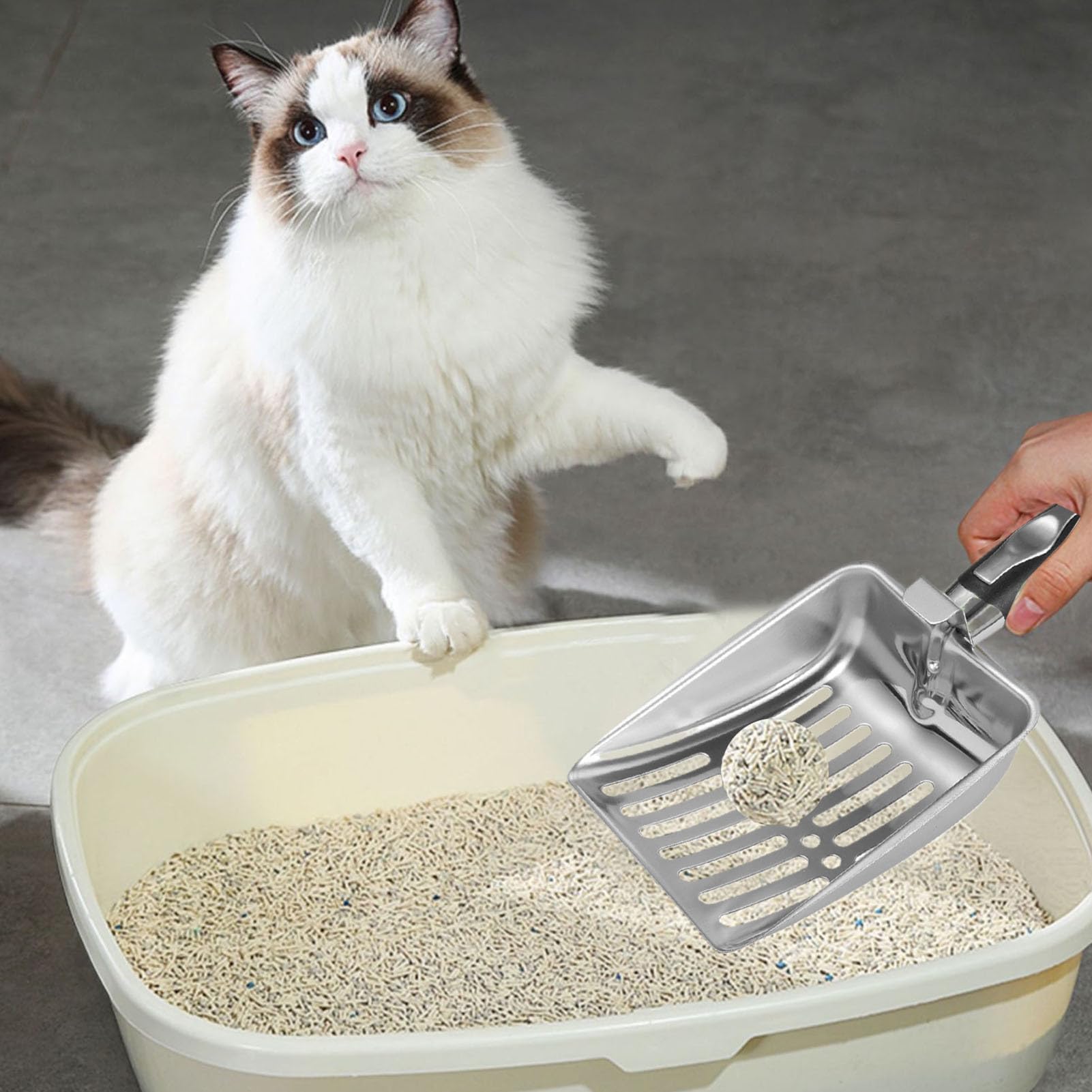 Katzenstreu-Schaufel, Robustes Siebwerkzeug mit ergonomischem Langen Griff, tragbares Reinigungswerkzeug for Wohnung, Reisen, Zuhause, Innenbereich