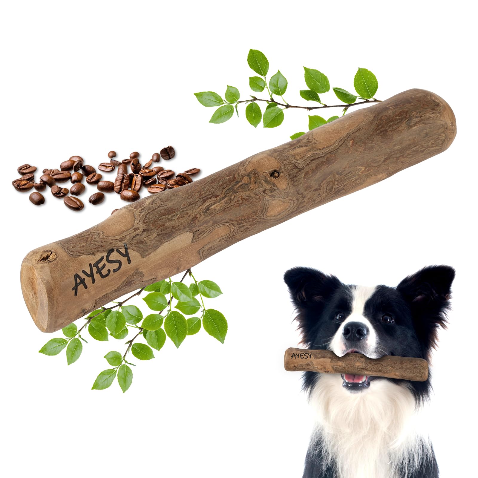 AYESY Coffee Wood Dog Chew, Dog Dental Care and Puppy Teething Chew Toys,Natural Long Lasting Coffee Wood Stick for Dogs and Puppies,M
