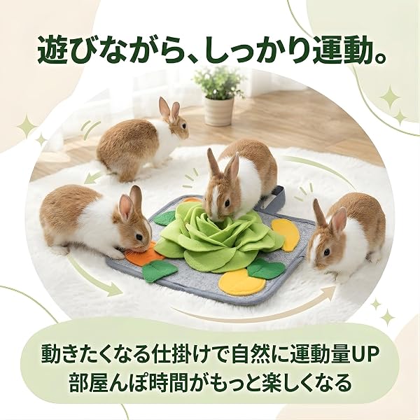 うさぎ おもちゃ ほりほり マット フェレット モルモット チンチラ デグー うさぎ用品 (ブルー) - 5