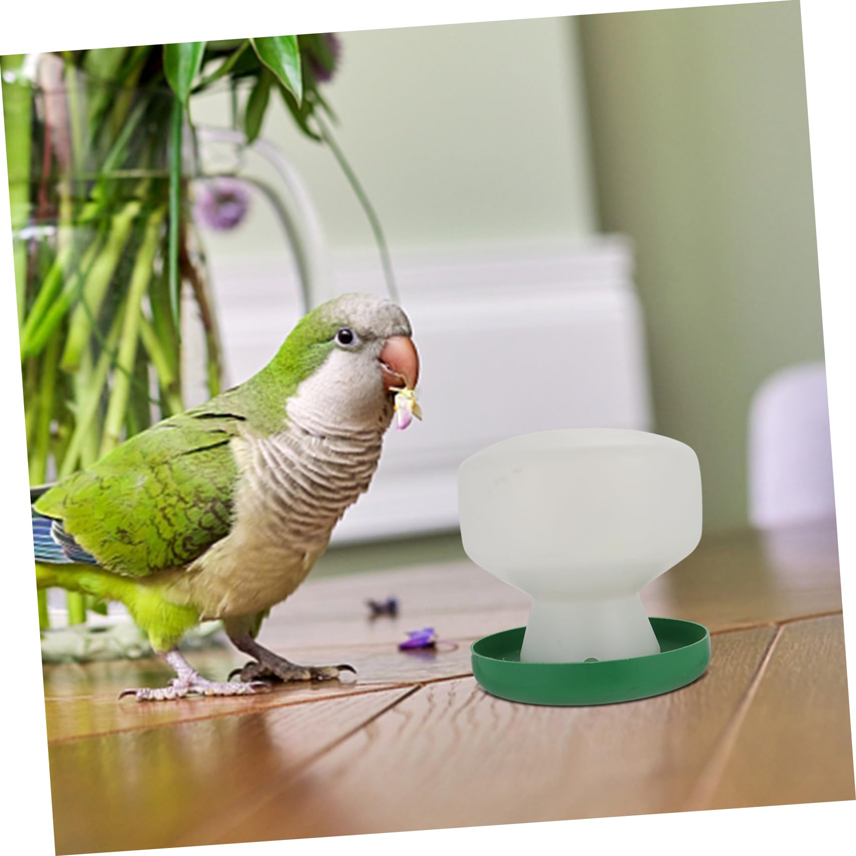 YARNOW 6pezzi Mangiatoia Per Distributore Per Pappagalli e Domestici Accessori Per Gabbie Design Antiribaltamento e Resistente
