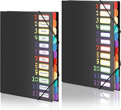 2 Pack Expanding File Folder with 12 Pockets A4 Accordion Document Organizer with Elastic Closure & Rainbow Tabs, Portable PP Plastic File Holder for Office, School, Home
