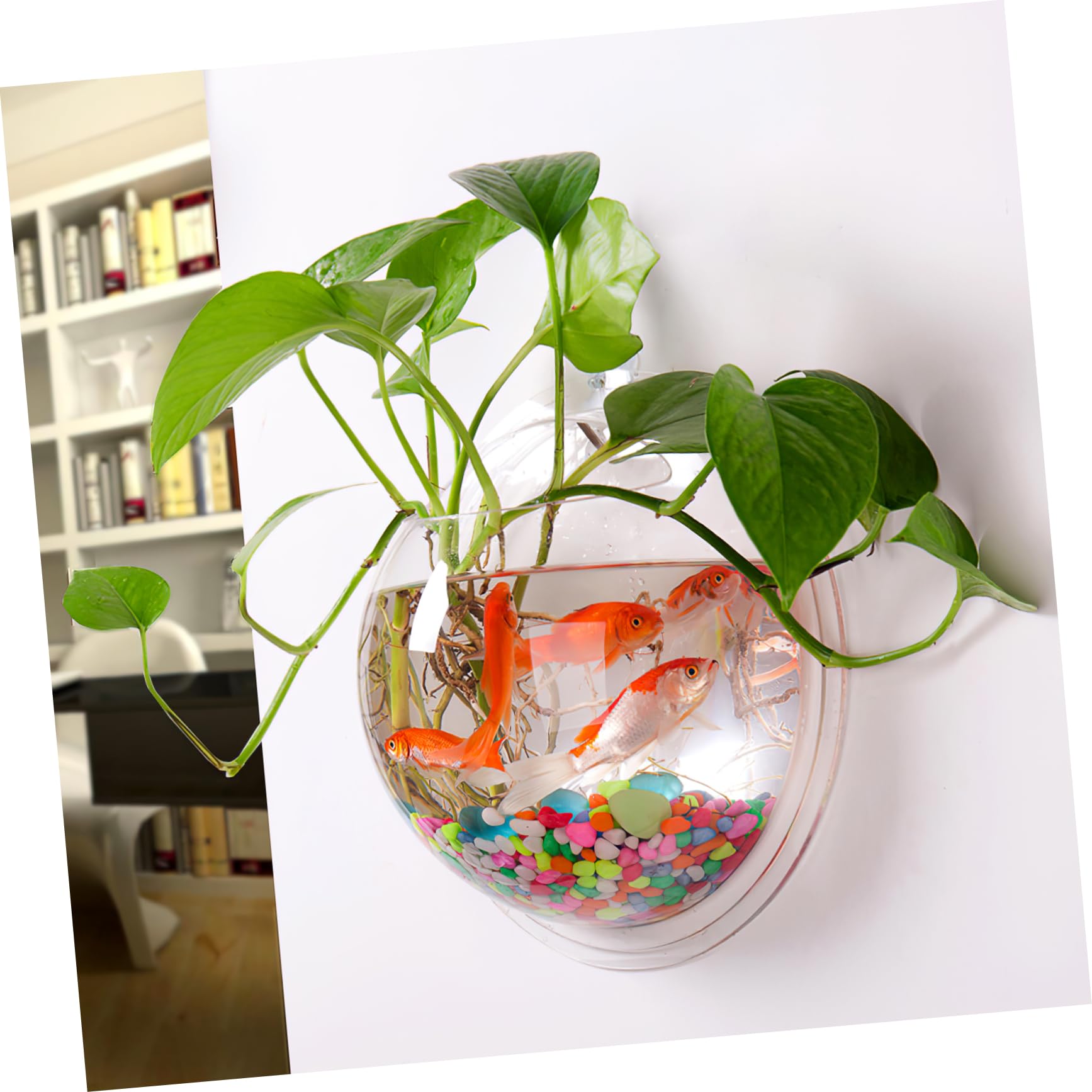 Aquarium Mural en Acrylique pour La Maison Peu Encombrant Diamètre De 23 Cm
