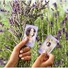 Instax mini Soft Levander Movie of 10