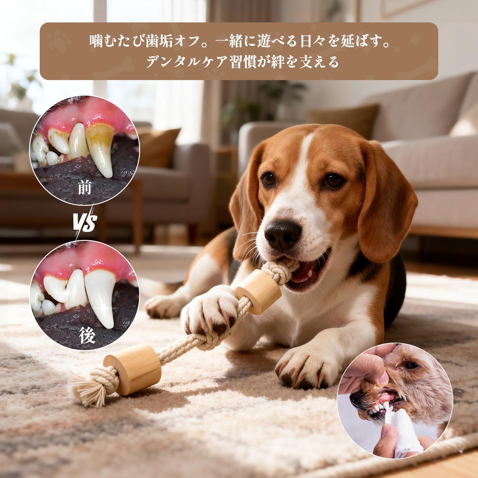 Amazon | SCHITEC 犬 おもちゃ ロープ 噛む コーヒーの木（中小型犬に