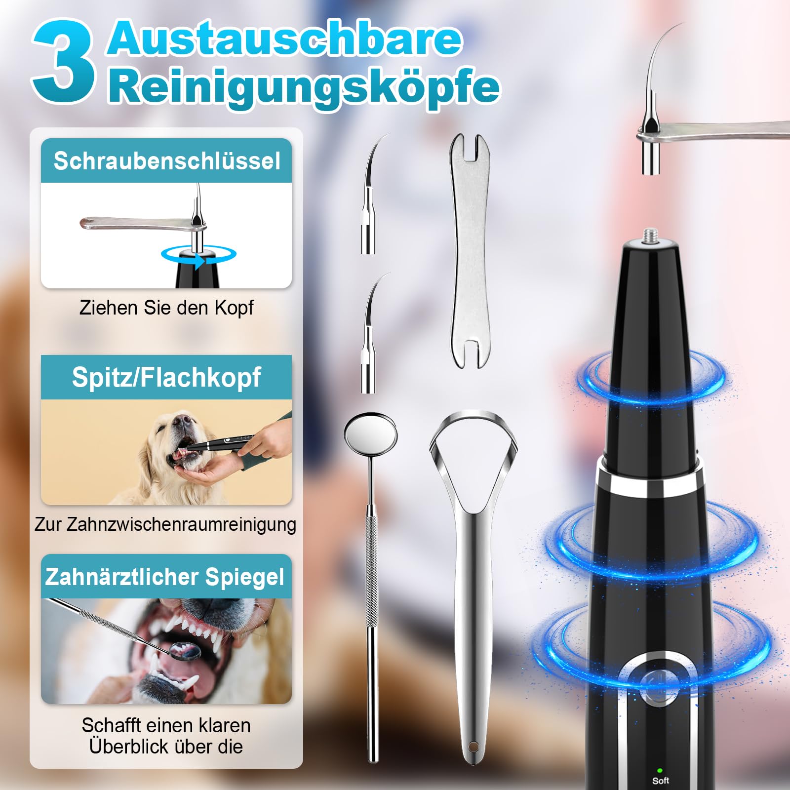iPalamila Zahnsteinentferner Zahnreiniger Ultraschall für Hund und Katze, Zahnpflege Set, Zahnreinigung und Reinigungsset, mit LED-Licht, Hundezahnbürste zur Zahnpflege, Schwarz