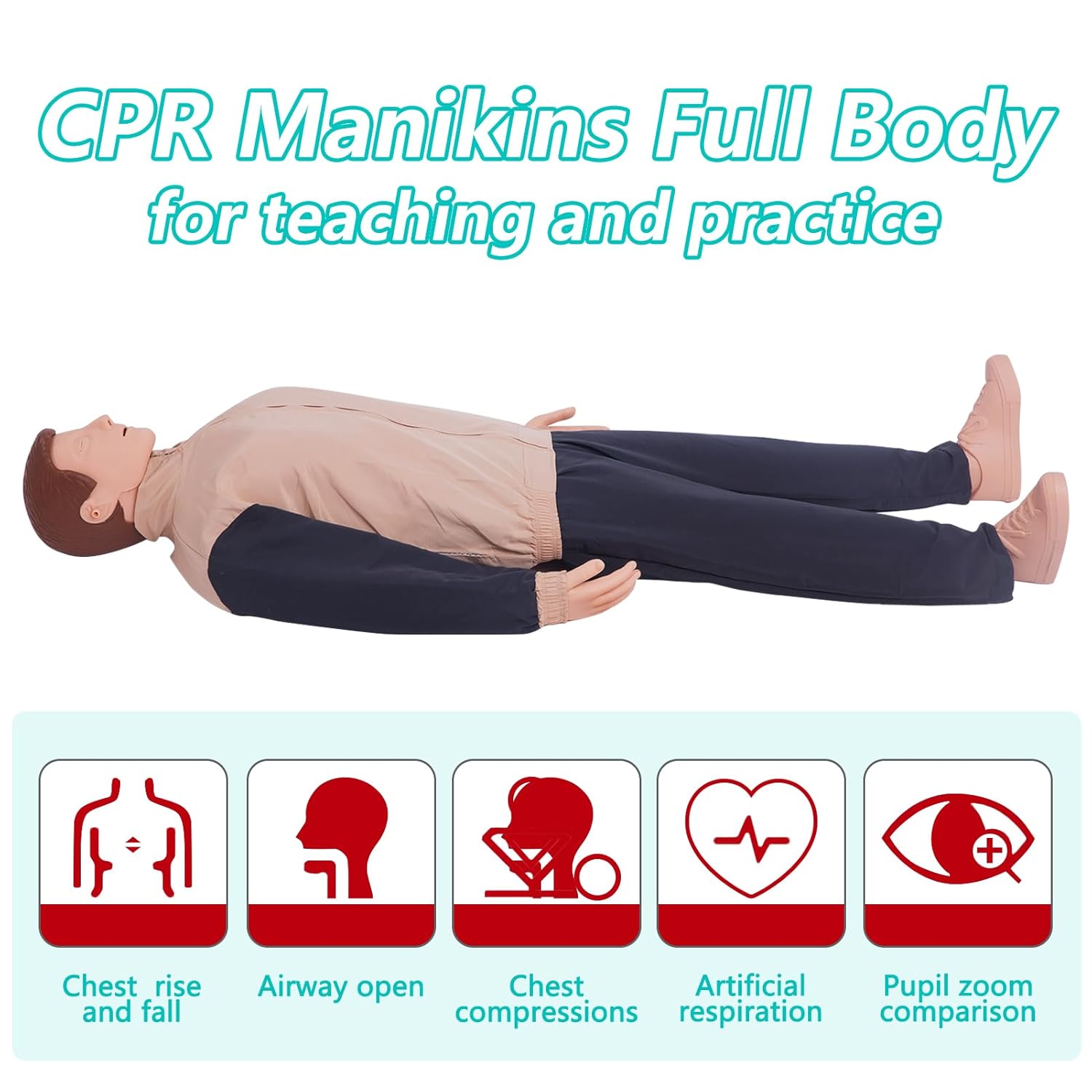 CPR Manikins Dummy Training Kit, Professional CPR Dummies Test Dummies Adult with Medium Skin MCR Med-ical Accessories, CPR Training Set for Classroom or Research Centers