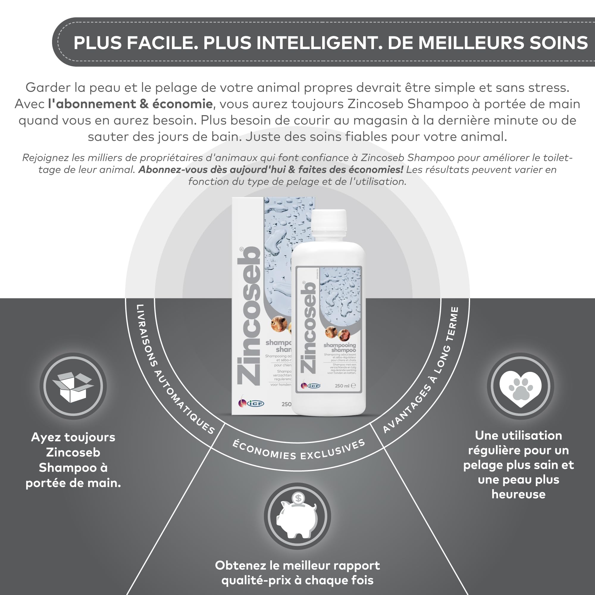 Zincoseb Shampooing | Shampoing Sébo-Régulateur et Hydratant pour Chien et Chat | Poil Sec, Terne ou Gras, Pellicules, Mauvaises Odeurs | Idéal pour la Peau Sensible du Chiot et Chaton | 250 ML