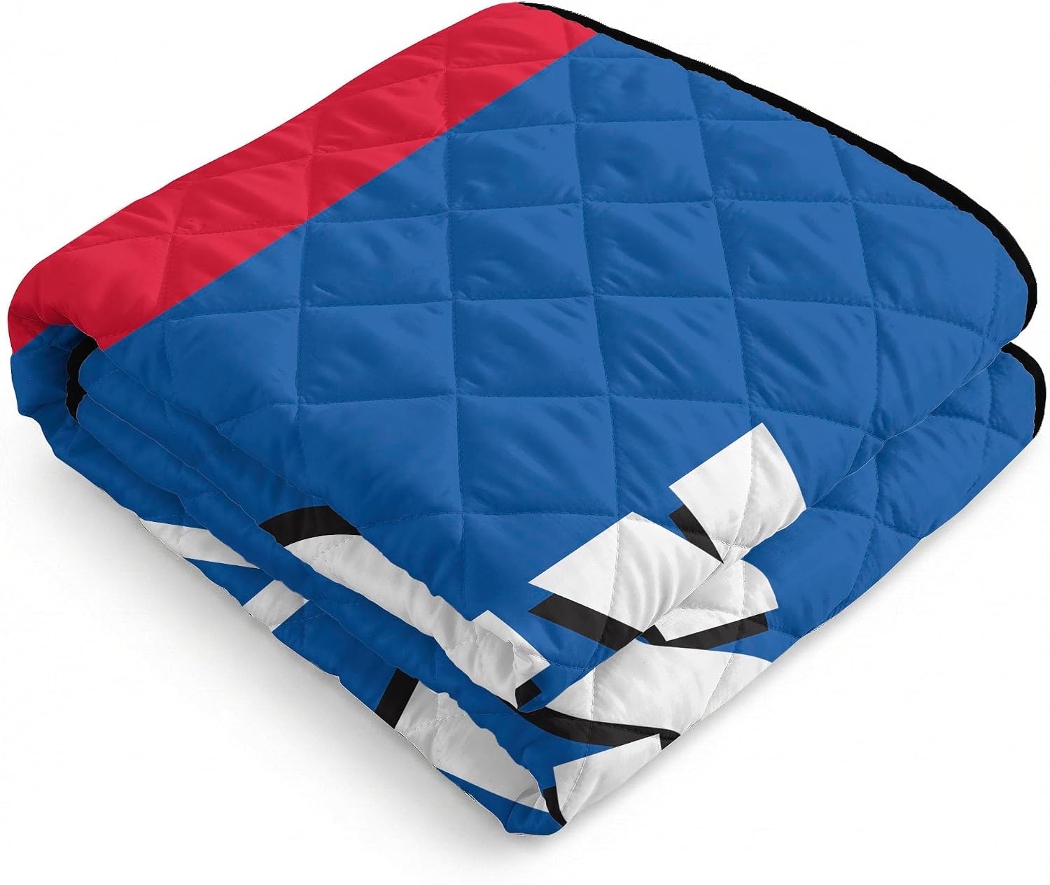 Northwest NHL Taffeta Outdoor Blanket, Foldable Camping, Picnic Ground Mat, 60 x 70 Inches