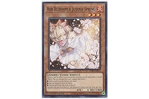 Ash Blossom & Joyous Spring - A Protective Barrier Against Special Summoning