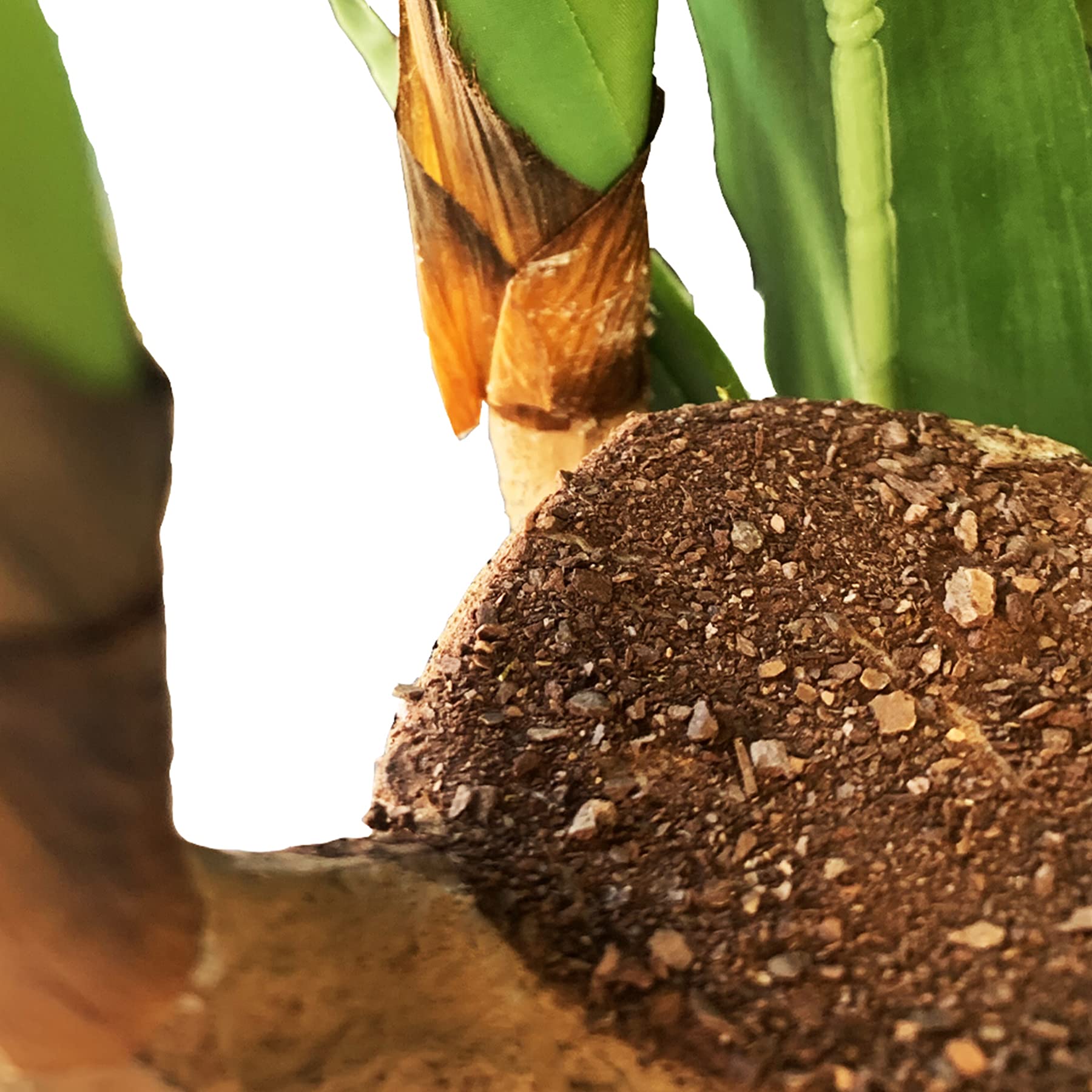 PLANTAWA Planta Dracena 145cm Plantas Artificiales Decoración para Interior y Exterior, Planta Artificial con Maceta para hogar Ideal para salón Cocina terraza o jardín