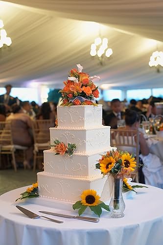 Miniatura 6 de Silverlake - Juego de 5 niveles cuadrados para tartas, bloques de 4 pulgadas de alto x 4,6,8,10 y 12 pulgadas de ancho para proyectos de exhibición