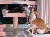 Review Image by elliemoran