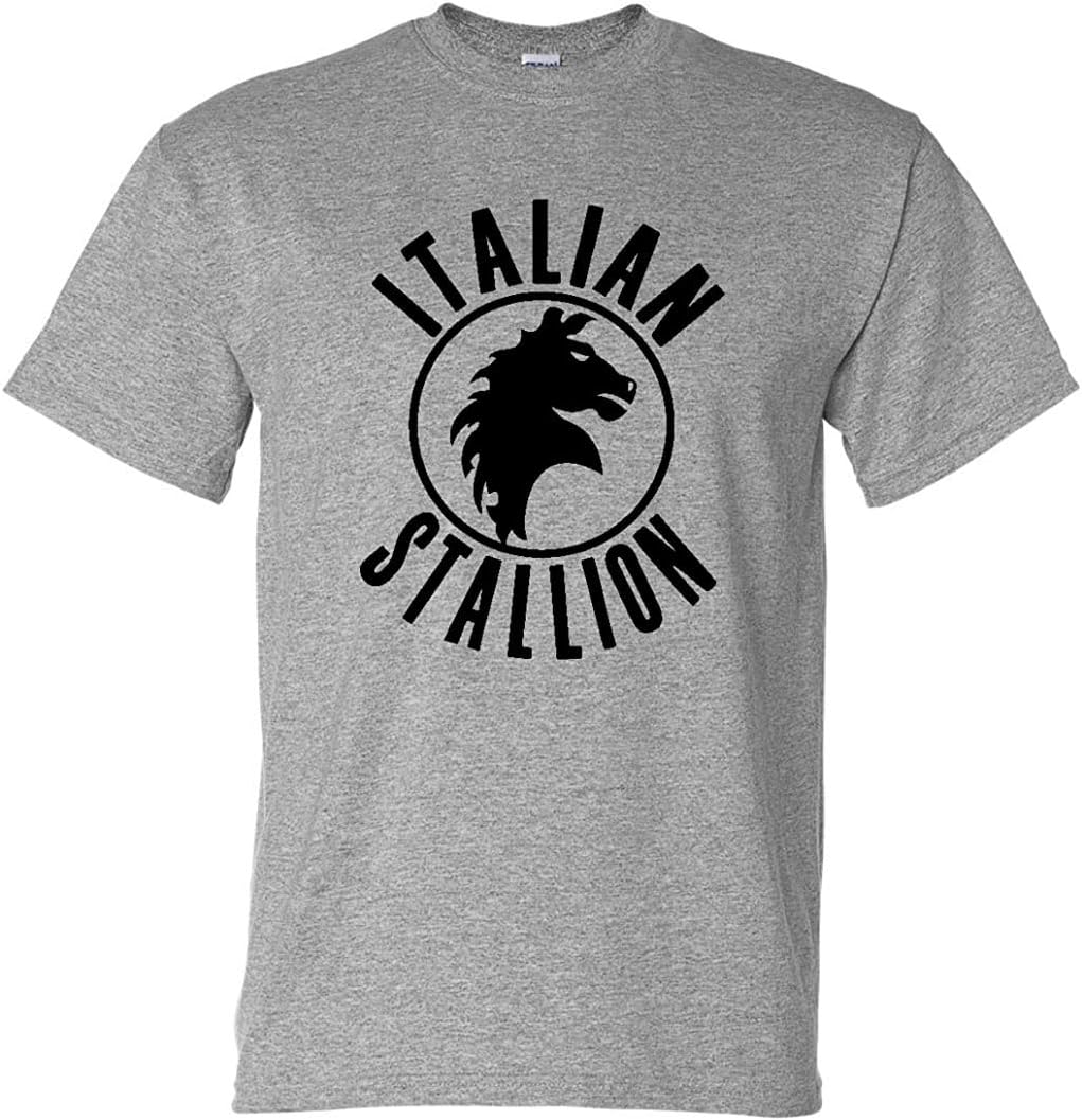 Fools Gold T-shirtsItalian Stallion Rock Movie Boxing Gym Training T-Shirt