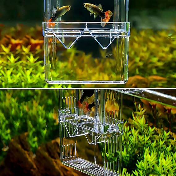 WEAVERBIRD Breeding Box Aquarium Acrylic Multi- functional Fish Shrimp Isolation Box with Suction Cup for Aquarium Tank