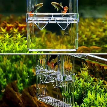 WEAVERBIRD Breeding Box Aquarium Acrylic Multi- functional Fish Shrimp Isolation Box with Suction Cup for Aquarium Tank