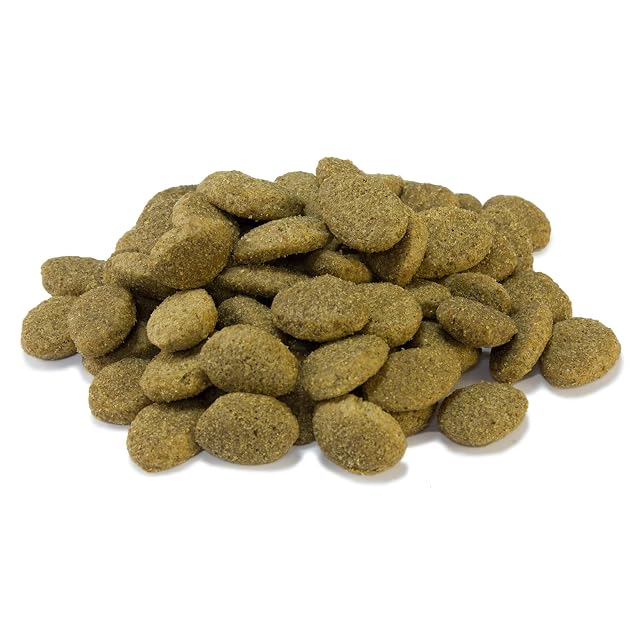 Foto 6 de 6 de Arquivet Pienso Premium Senior Light Pollo y arroz 12 kg - Pienso Natural para Perros Mayores o con sobrepeso