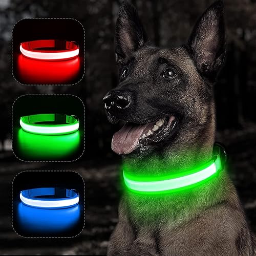 Miniatura 9 de BSEEN Collares iluminados para perros, collar recargable para cachorros, collar ajustable con brillo para perro, collar reflectante para mascotas,