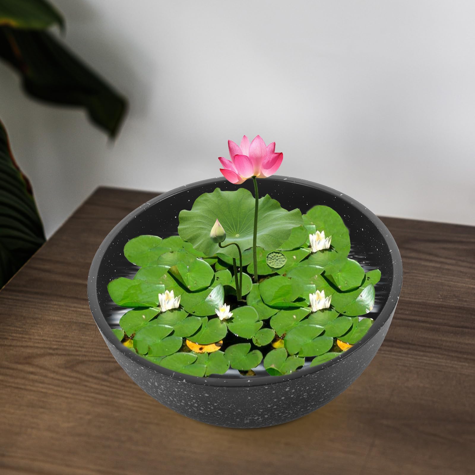 Vaso Finto Pietra Per Esterni In Resina PP - Grigio Scuro, 30x30x17 Cm, Con Riserva D'Acqua Per Idroponica
