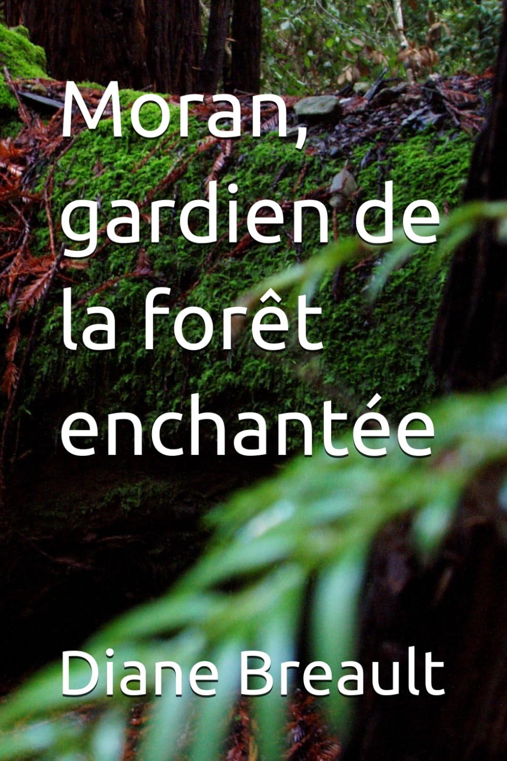 Moran, gardien de la forêt enchantée